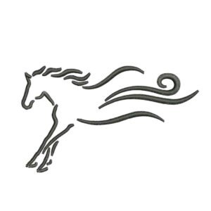 #17 HORSE